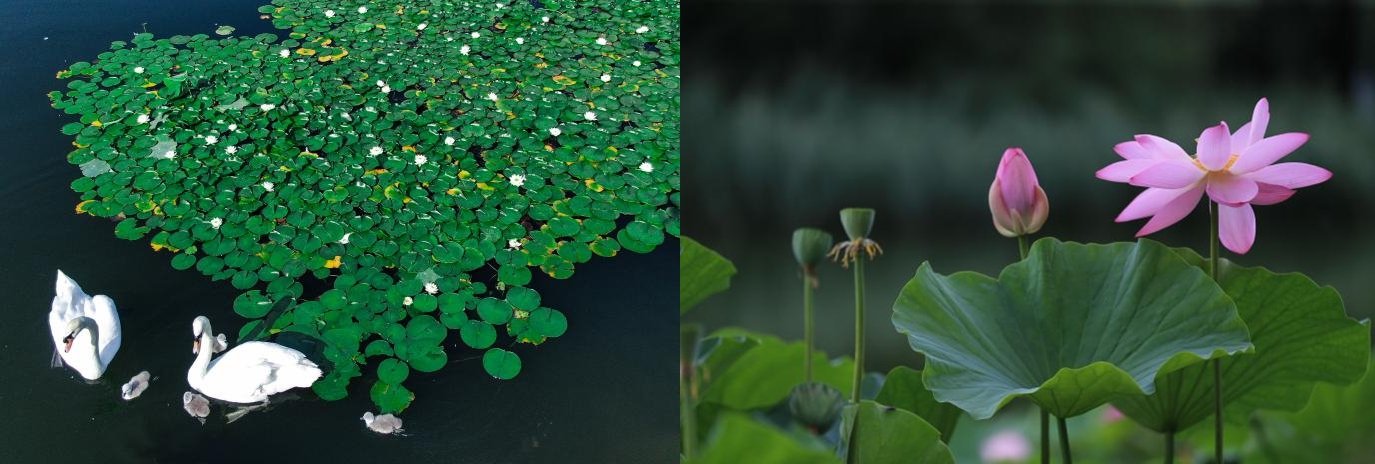 实现高质量内涵式发展的关键阶段