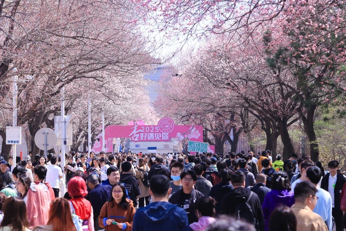 世界一流大学建设