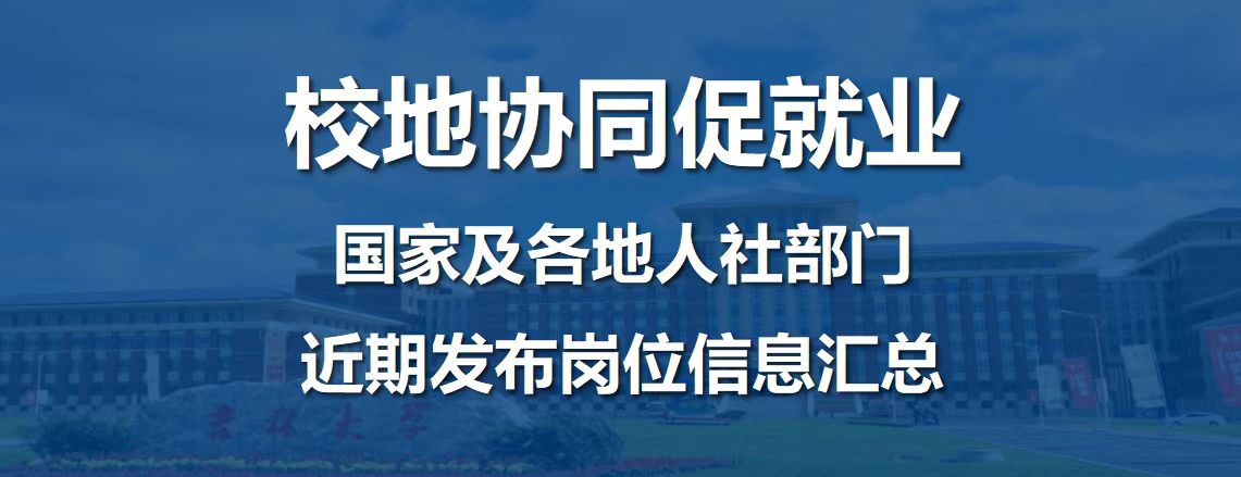 国际组织